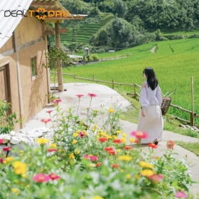 Tour Sapa – Trekking Lao Chải, Giàng Tả Chải, Fansipan 3N2Đ