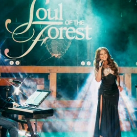 Soul Of The Forest