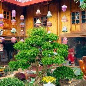 Sapa An Sinh Đường