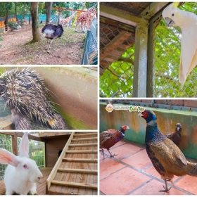 Suoi Tien Theme Park