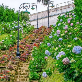 Thung lũng tình yêu Đà Lạt