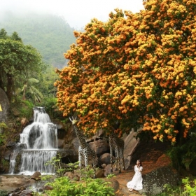 Làng Toom Sara Đà  Nẵng