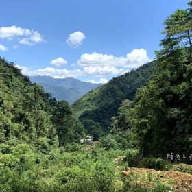 Magnolia Responsible Travel