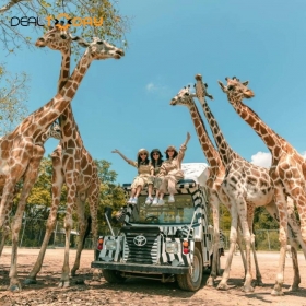 Tour du lịch khám phá Thái Lan - Safari World Bangkok - Vườn Ánh Sáng Lighting Art - 5N4Đ