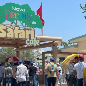 Safari Cafe
