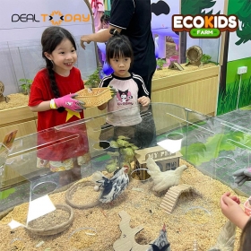 EcoKids Farm - Vé vào cửa nông trại giáo dục Times City