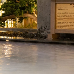 AMARE - Onsen & Jjimjilbang