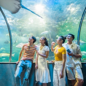 Vé vào cửa Thủy Cung Aquarium dành cho người lớn trên 140cm - Áp dụng Thứ 7, Chủ nhật và Lễ Tết