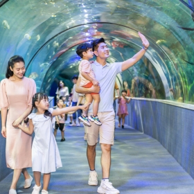 Vé vào cửa Thuỷ Cung Aquarium dành cho trẻ em dưới 140cm - Áp dụng thứ 7, chủ nhật và lễ tết