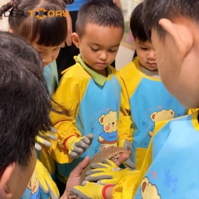 B-Zone Vivo - Vé vui chơi trẻ em