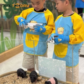 B-Zone Vivo - Vé vui chơi dành cho người lớn