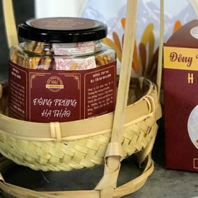 Đông trùng hạ thảo Holiso