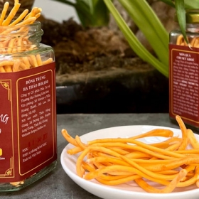 Đông trùng hạ thảo Holiso