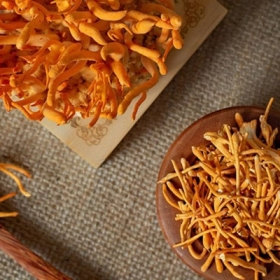 Đông trùng hạ thảo Holiso