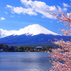 Lạc Việt Travel HCM