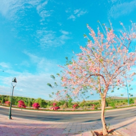 Du Lịch và Quảng Cáo Khám Phá Mới