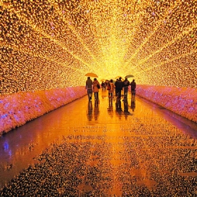 Viet Nam Royal Travel