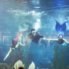 VinKE & Aquarium Times City