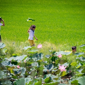 Thiên Việt Travel 