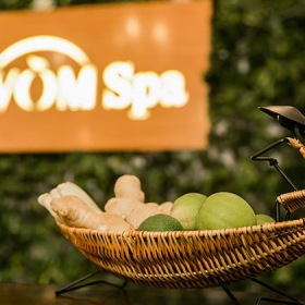 Vòm Spa