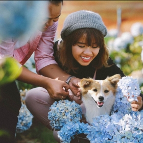 Đà Lạt 360° Travel