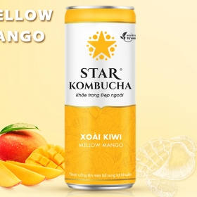 STAR KOMBUCHA