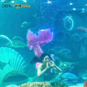 Lotte World Aquarium Tây Hồ Hà Nội