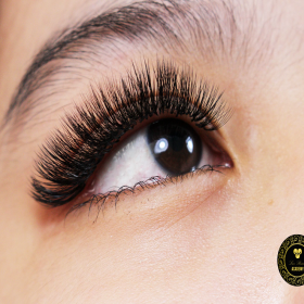 Lux Beauty Lashes