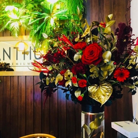 An Thư The Premium Spa