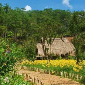 Hello Đà Lạt Travel 