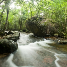 Lạc Long Quân Travel