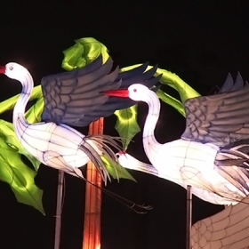 Lễ hội đèn lồng Allunee