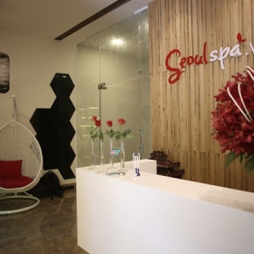 Seoul Spa  
