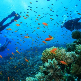 Đại lý vé máy bay SkyLine