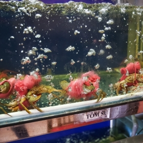 Nhà hàng Sinh Hải Sản