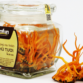 Đông trùng hạ thảo Biofun