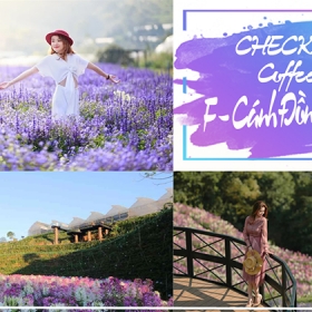 Sài Gòn Thành Công Tourist & Event