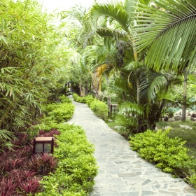 TTC Resort Premium Kê Gà 4 - The Peagasus Resort