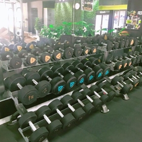 Fit-Fitter Gym & Yoga