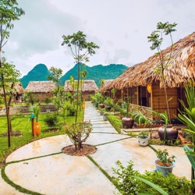 Tam Coc Rice Field Resort - Ninh Binh