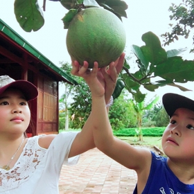 ORCHARD NAM CAT TIEN RESORT