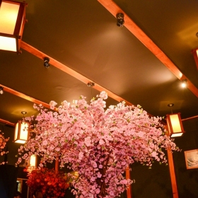 Nhà hàng Neko Sushi 