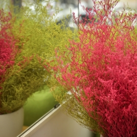 Thẩm mỹ Bảo Anh