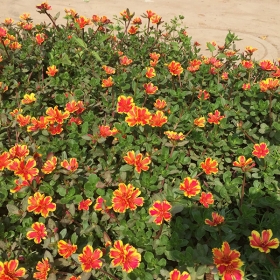 Trải nghiệm sông Hồng