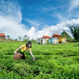 Du lịch Việt Hưng