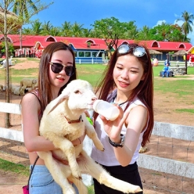 Saigon Cholon Tourist