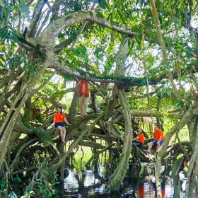 ORCHARD NAM CAT TIEN RESORT