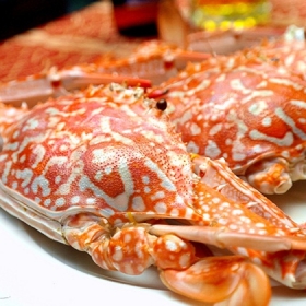 Nhà hàng Buffet Sen Xanh