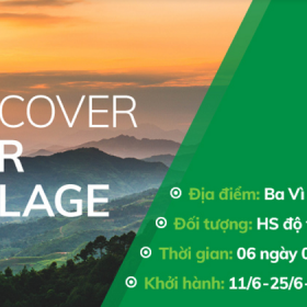 Học viện Phát triển Cá nhân PDI