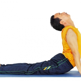 LỚP HỌC ĐÀO TẠO YOGA